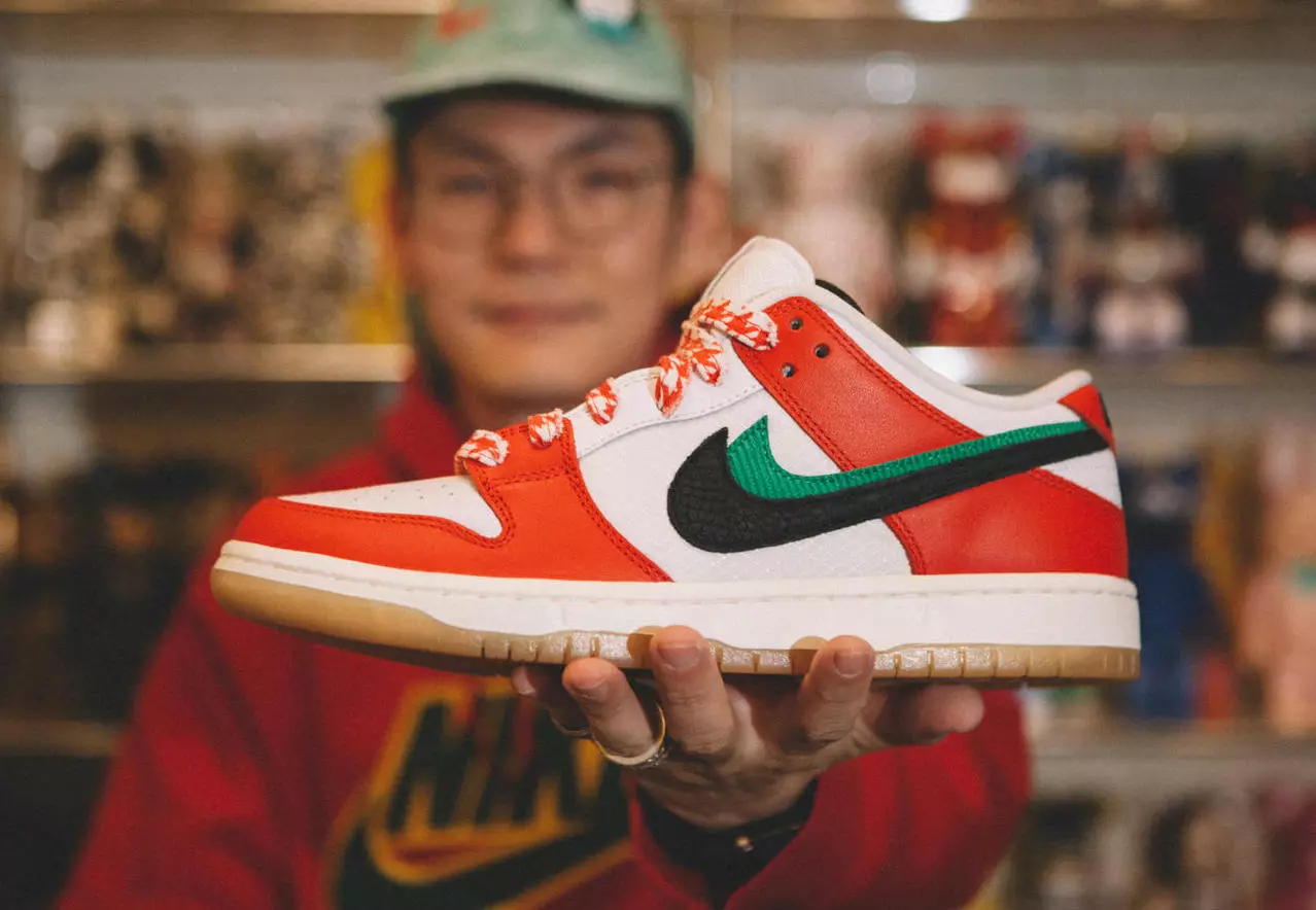 Ako kúpiť Frame Skate Nike SB Dunk Low