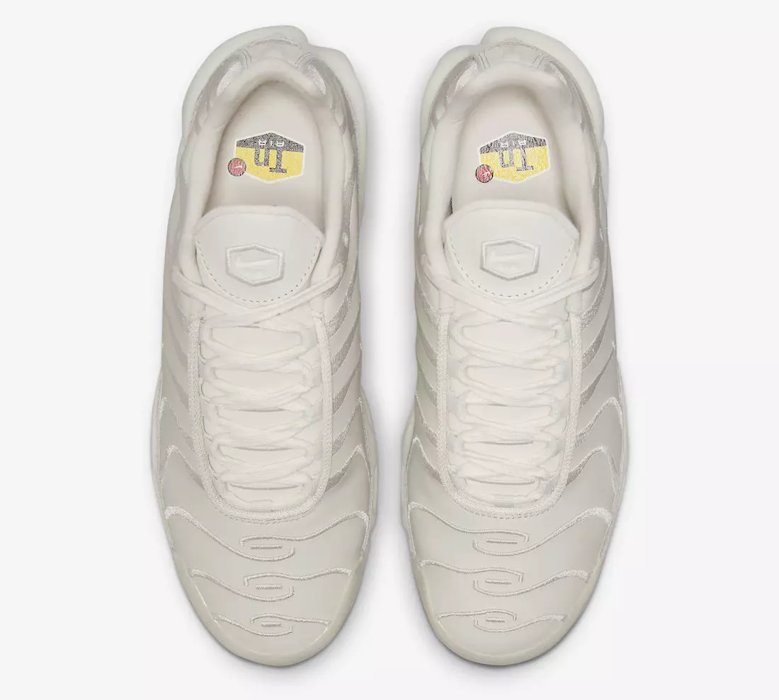 Nike Air Max Plus DZ2832-100 מעלדונג טאָג