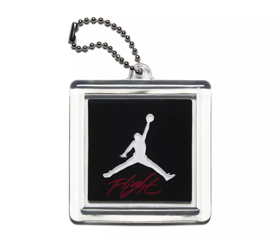 Air Jordan 4 Raptors Qara Kort Bənövşəyi AQ3816-065 Buraxılış Tarixi