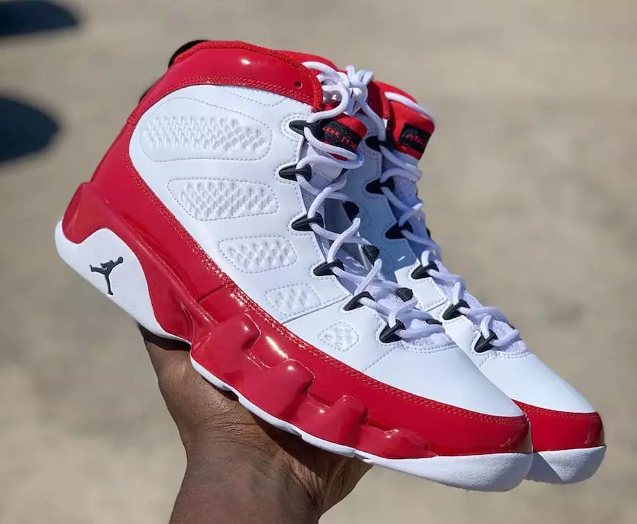 Air Jordan 9 Gym crvena 302370-160