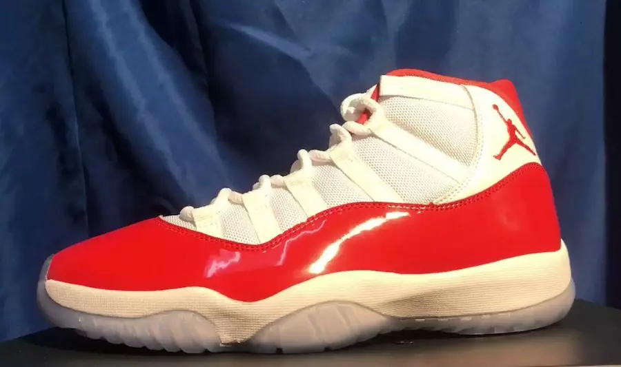 Florida Timsahları Air Jordan 11