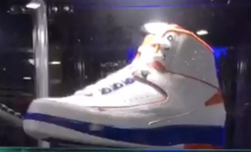 Air Jordan 2 Флорида Аллигаторы