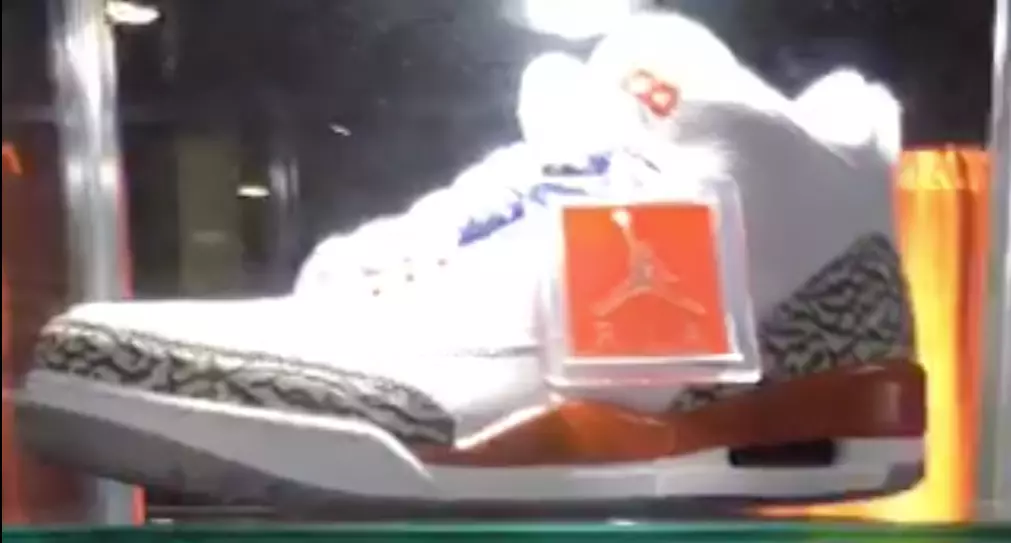 Jacarés Air Jordan 3 Florida