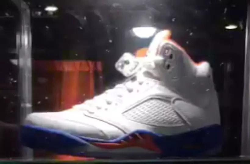 Air Jordan 5 Gators de Floride