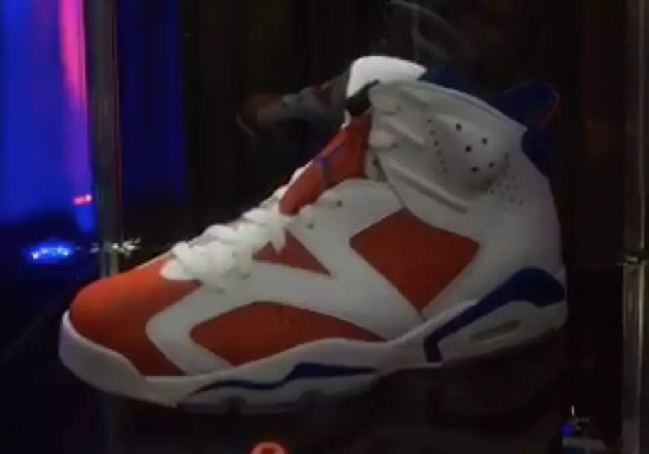 Aer Jordan 6 Florida Gators