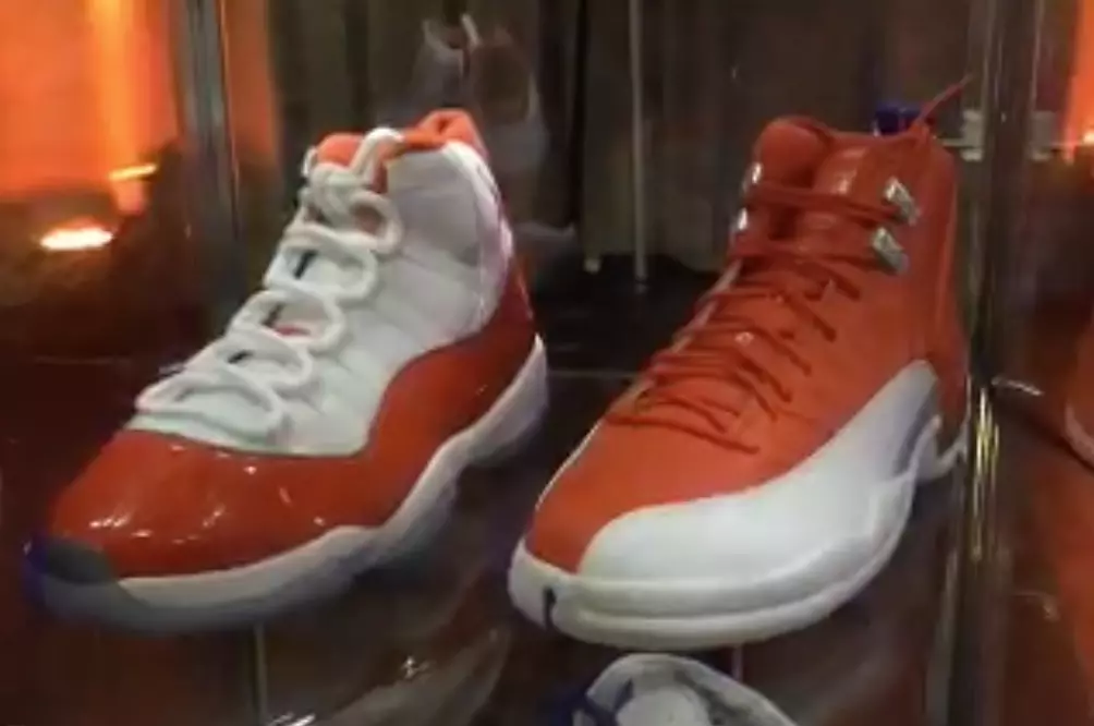 Air Jordan 11 12 Florida Timsahları