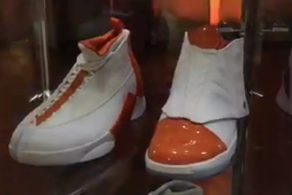 Air Jordan 15 16 Florida Alligatoren