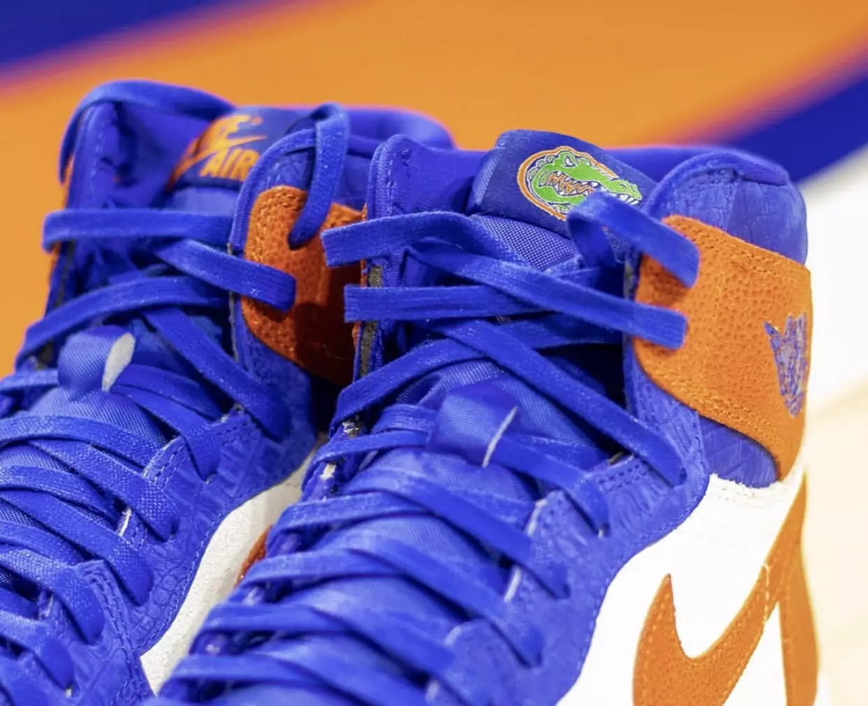 Air Jordan 1 Florida Timsahları PE