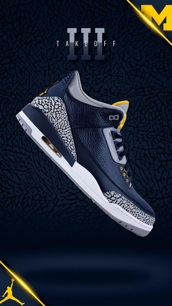 Air Jordan 3 Michigan PE-spelare exklusiv