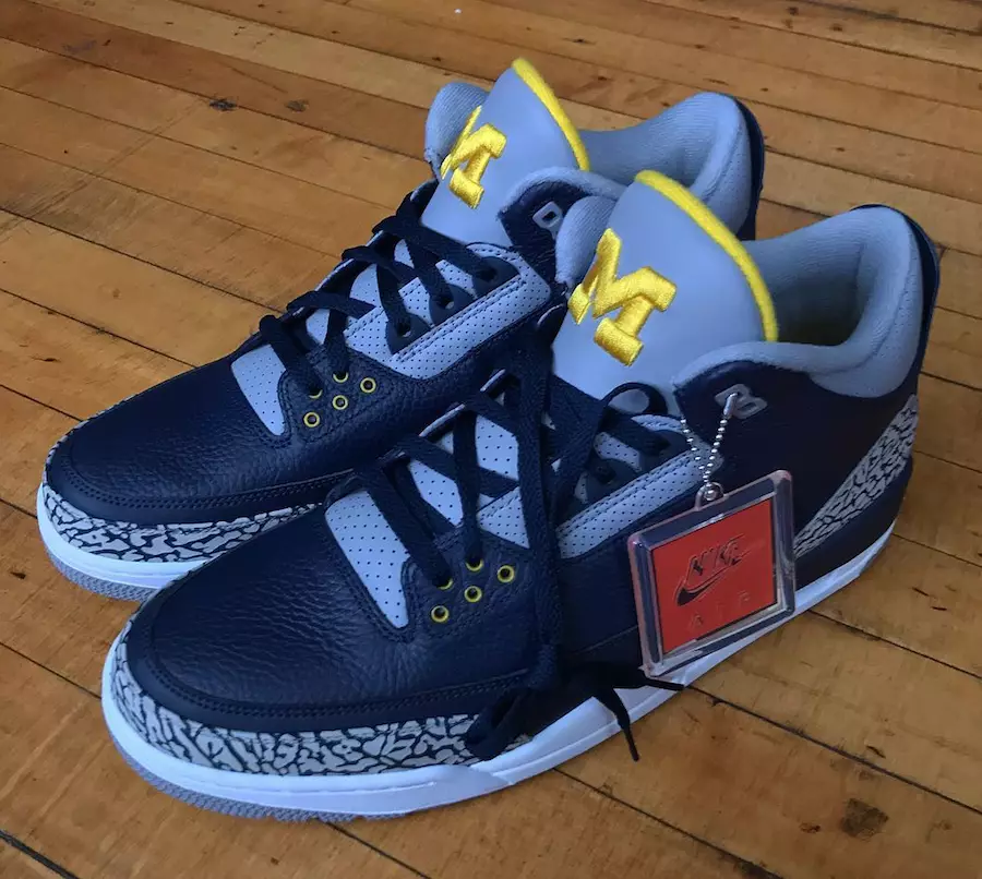 Michigan Air Jordan 3