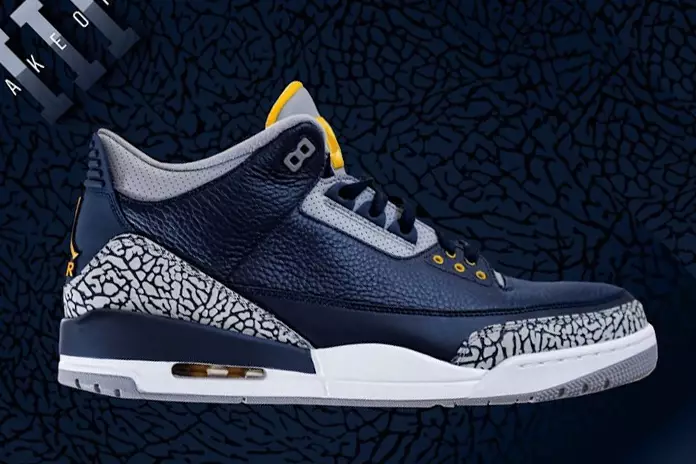 Aer Jordan 3 Michigan PE