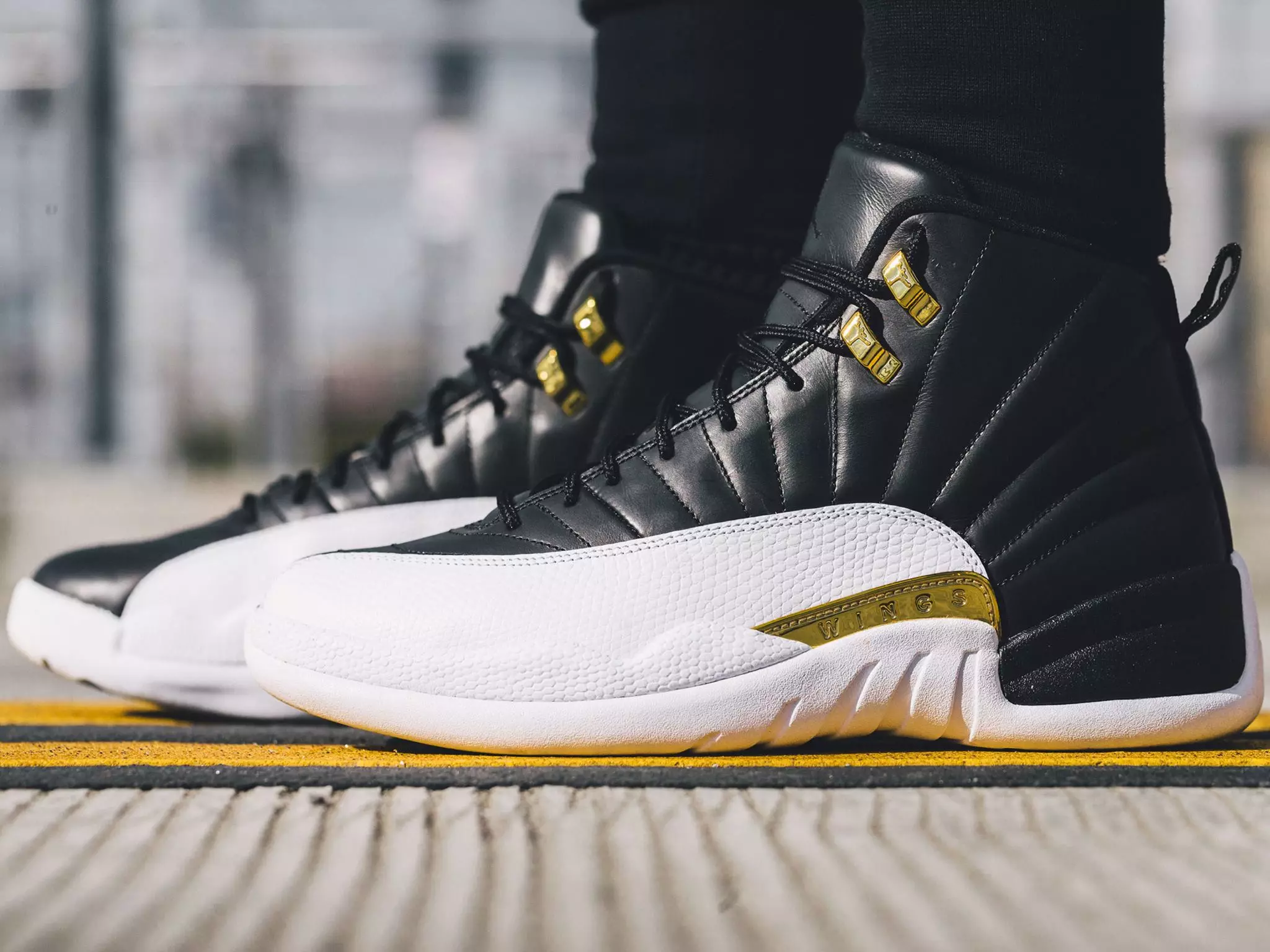 Air Jordan XII 12 ретро қанаттары