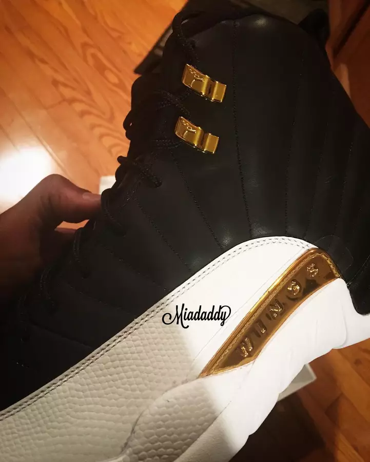 Wings Air Jordan 12 ретро