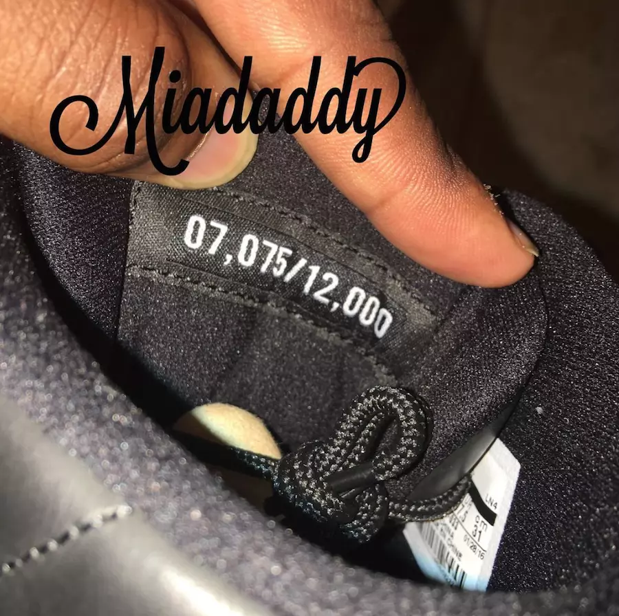 Wings Air Jordan 12 Ograničeno na 12000 pari