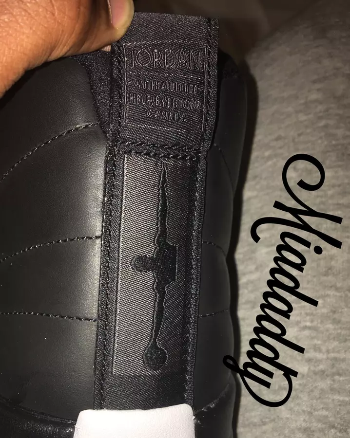 Asas Air Jordan 12 Retro