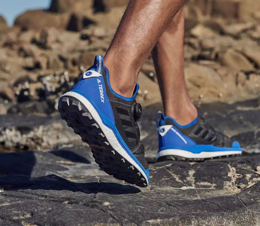 White Mountaineering adidas Terrex 2019 Data lansării