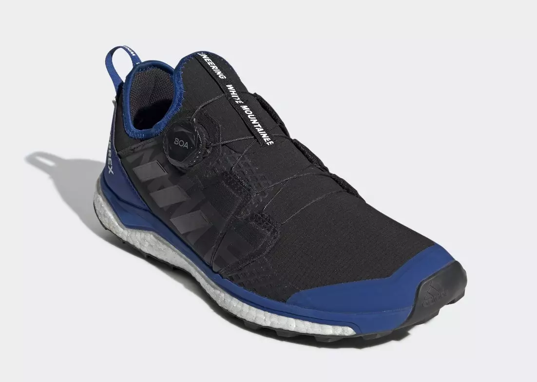 White Mountaineering x adidas Terrex Agravic Boa EE3913 Дата на издаване