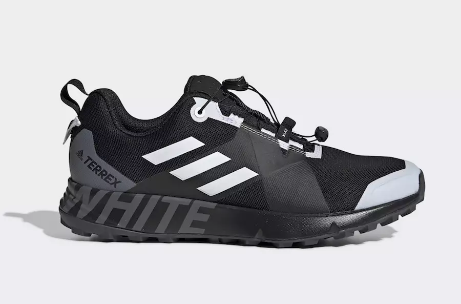 Дата на издаване на бели планински adidas Terrex TWO GTX DB3006