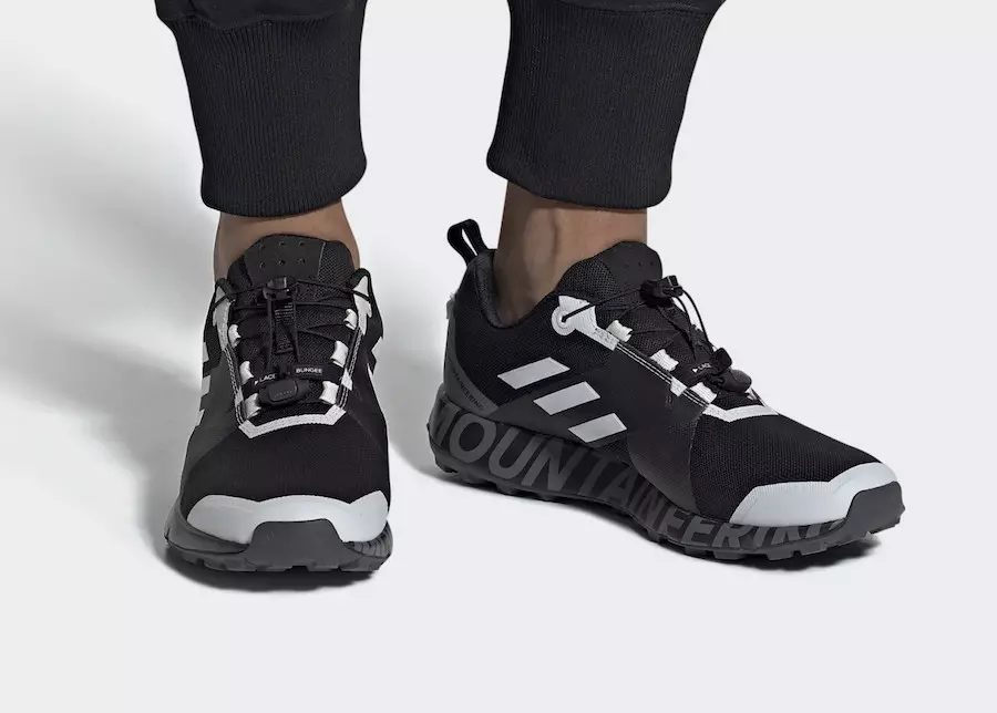 Бело планинарство adidas Terrex TWO GTX DB3006 Датум на издавање