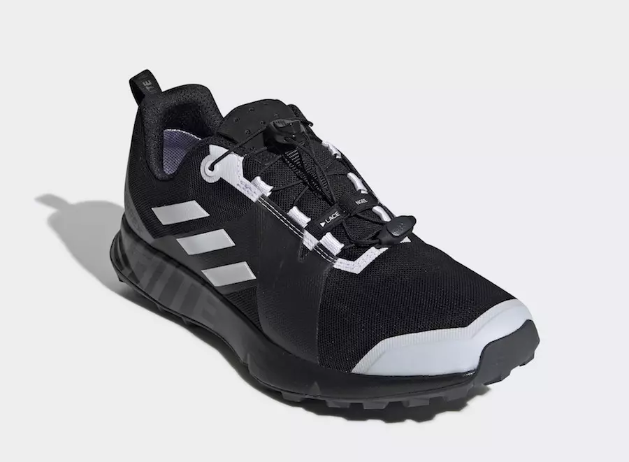 Sléibhteoireachta Bán adidas Terrex TWO GTX DB3006 Dáta Eisiúna