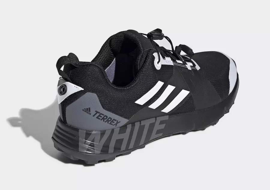 Valge mägironija adidas Terrex TWO GTX DB3006 väljalaskekuupäev