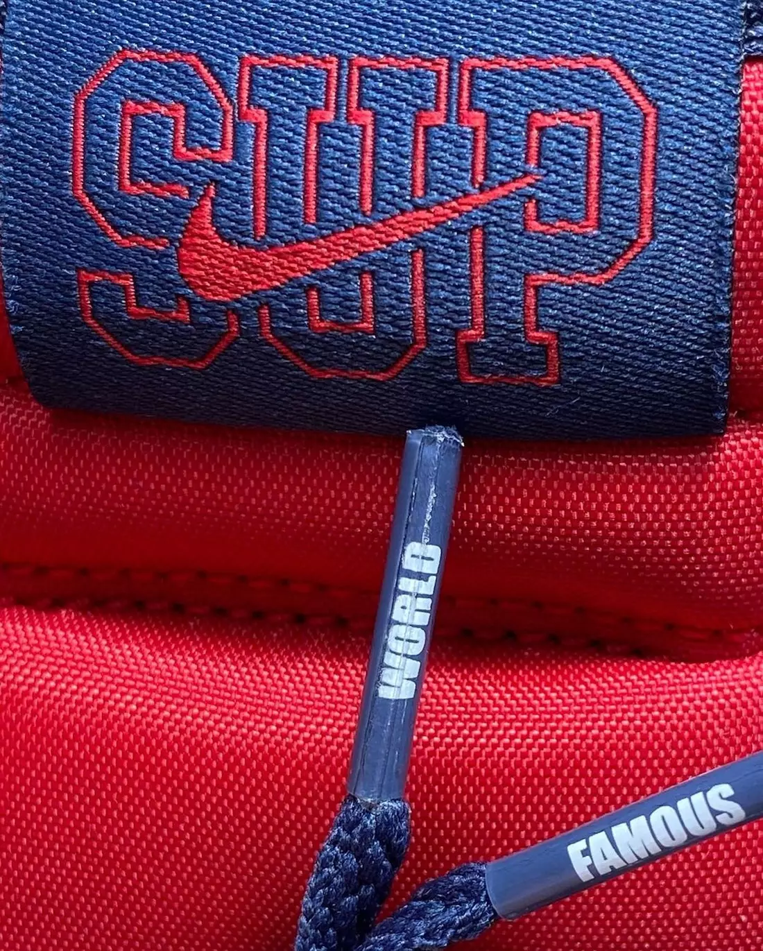 Supreme Nike SB Dunk High By Any Means Navy Red Дата випуску