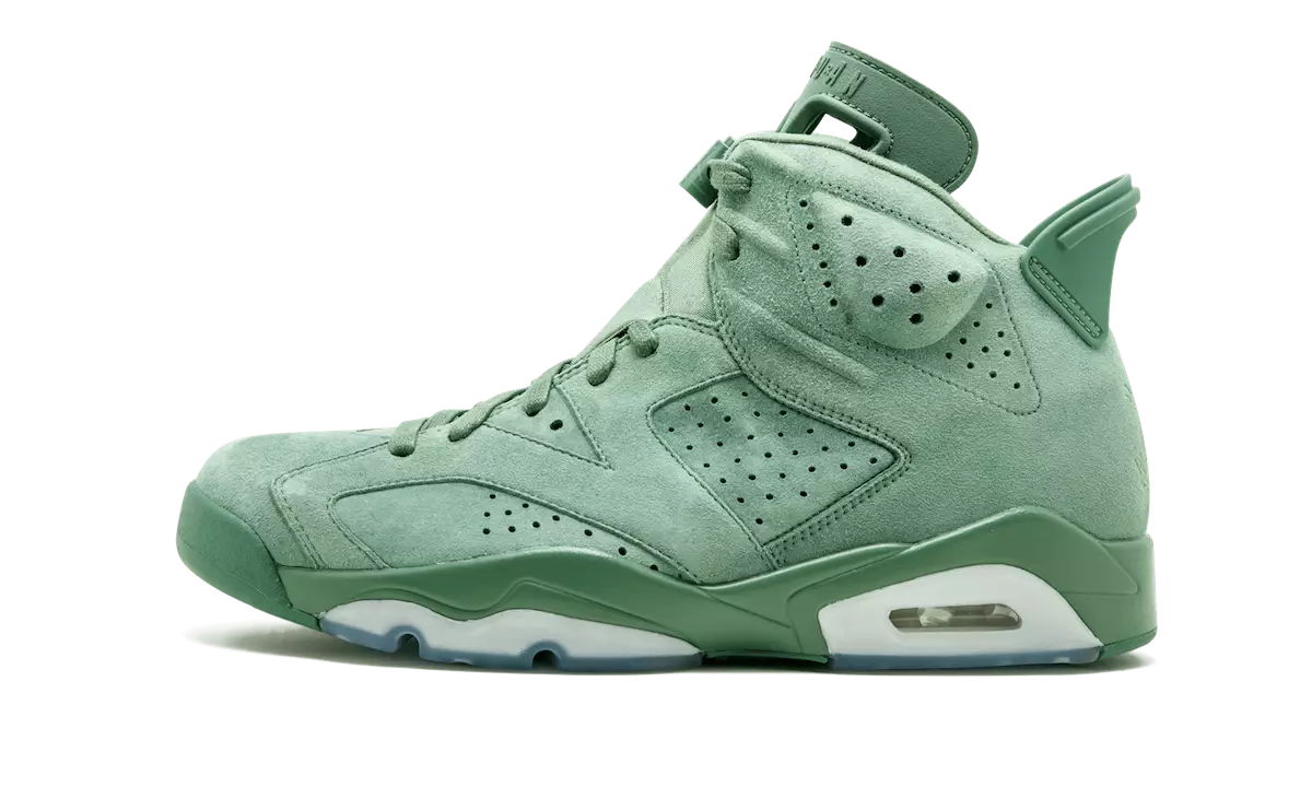 Macklemore Air Jordan 6 Kaktus 522201-520