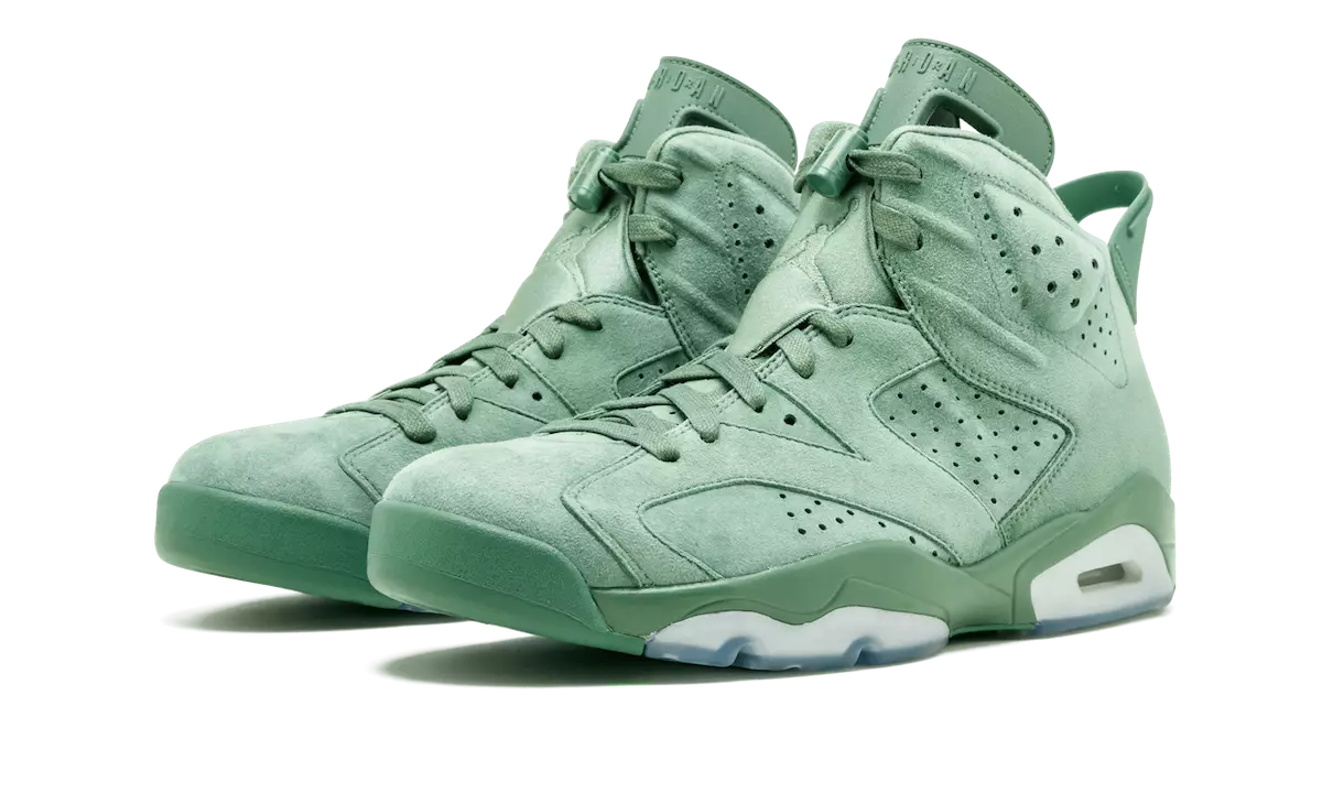 Macklemore Air Jordan 6 Cactus 522201-520