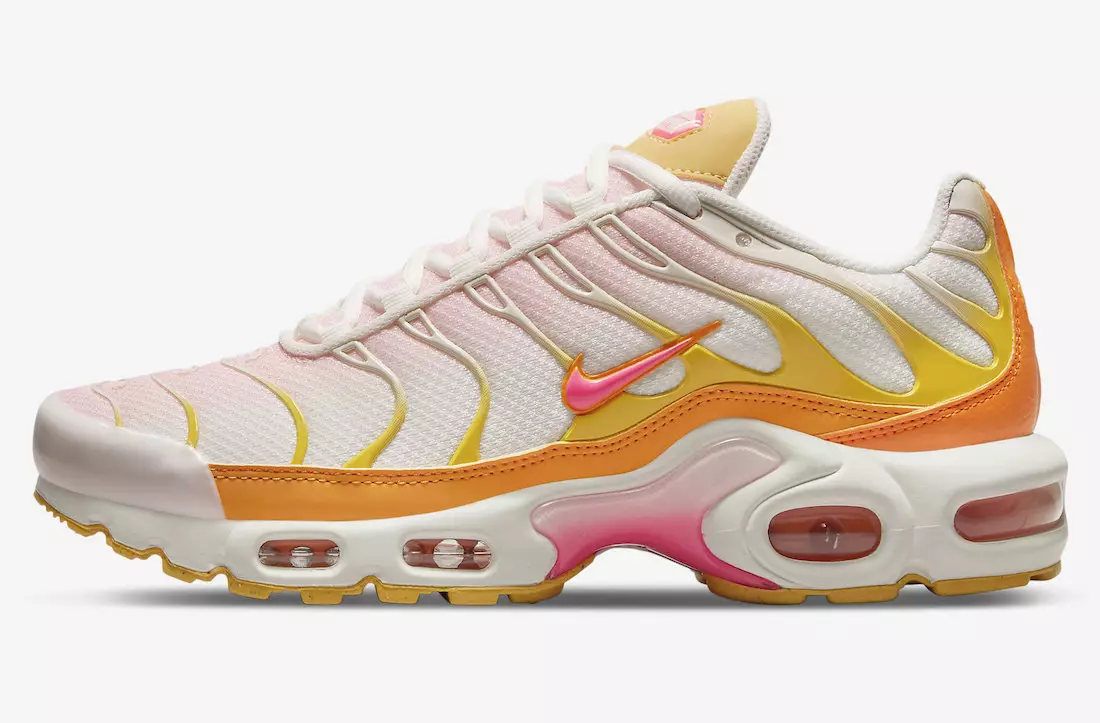 Nike Air Max Plus DX2673-100 Releasedatum