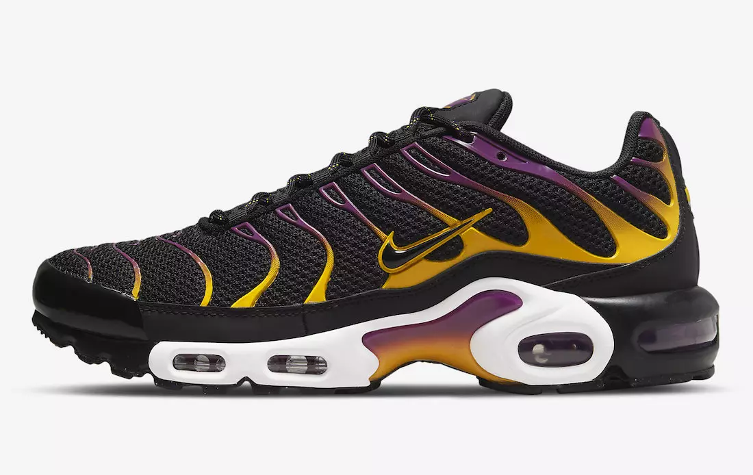 Nike Air Max Plus DX2663-001 გამოშვების თარიღი