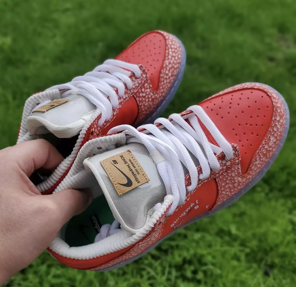 Stingwater x Nike SB Dunk Low Fecha de lanzamiento