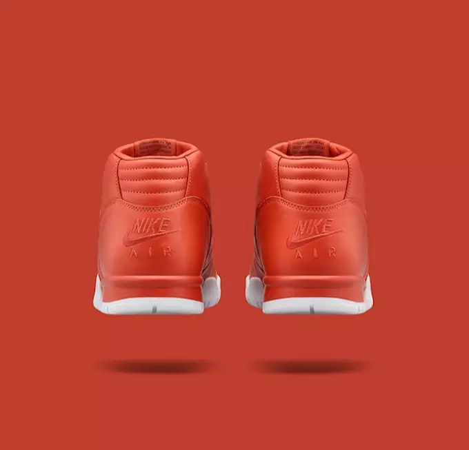 تصميم جزء NikeCourt Air Trainer 1