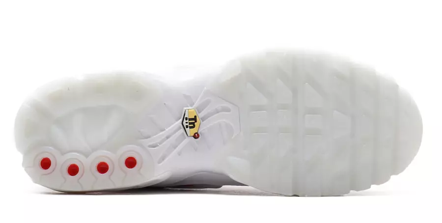 Nike Air Max Plus AO5117-100 חבילת דגל בינלאומית