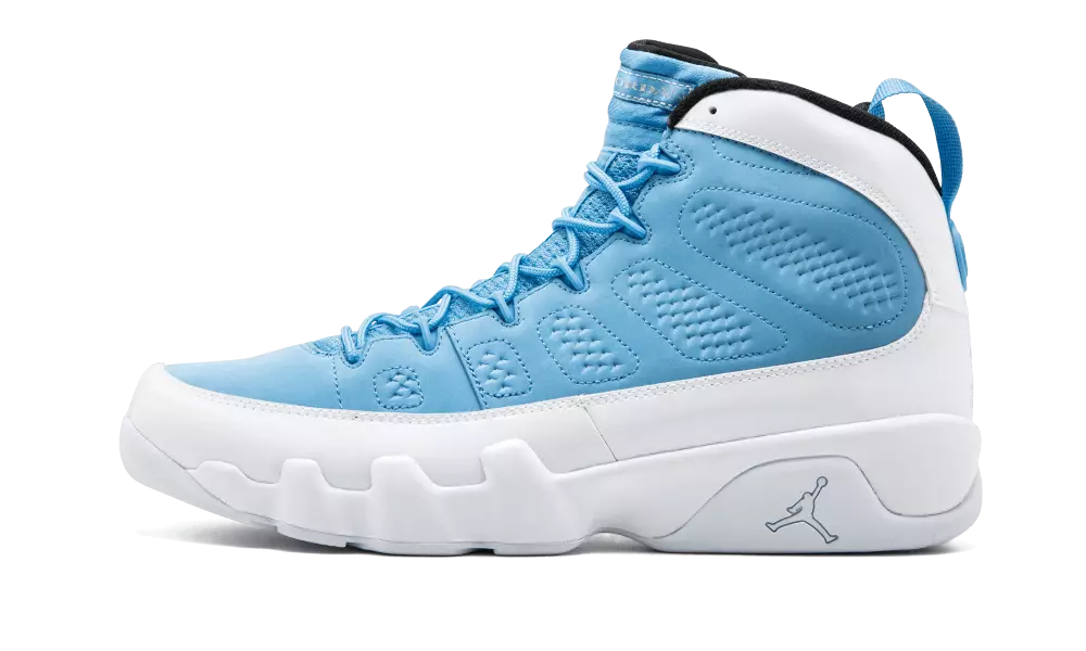 Air Jordan 9 For The Love Of The Game 302370-401