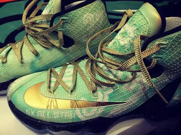 Swin Cash Nike LeBron 13 Elite Retirement Custom