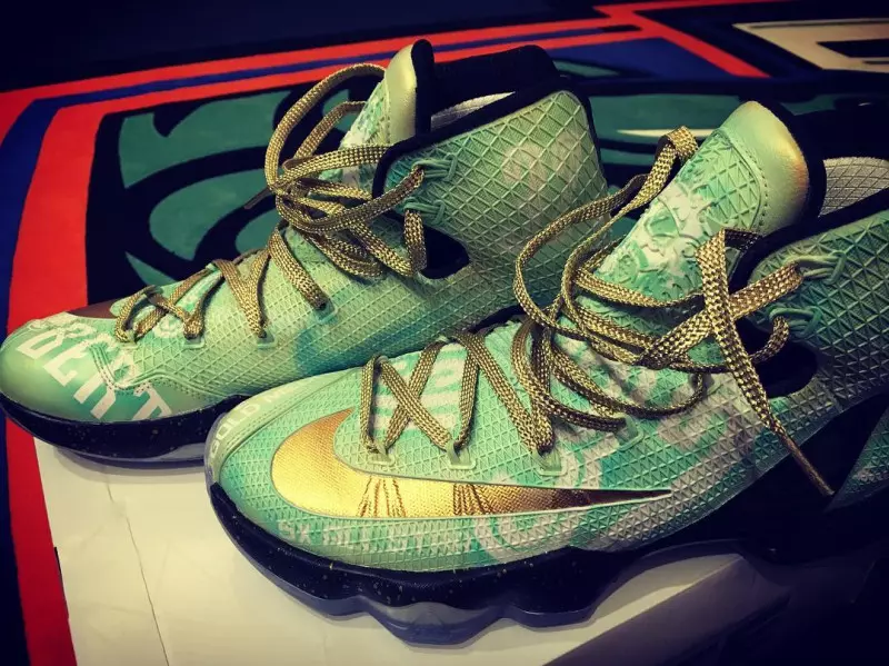 Swin Cash Nike LeBron 13 Elite Retirement Custom