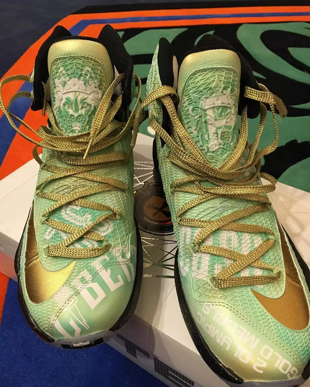 Swin Cash Nike LeBron 13 Elite Retirement Custom