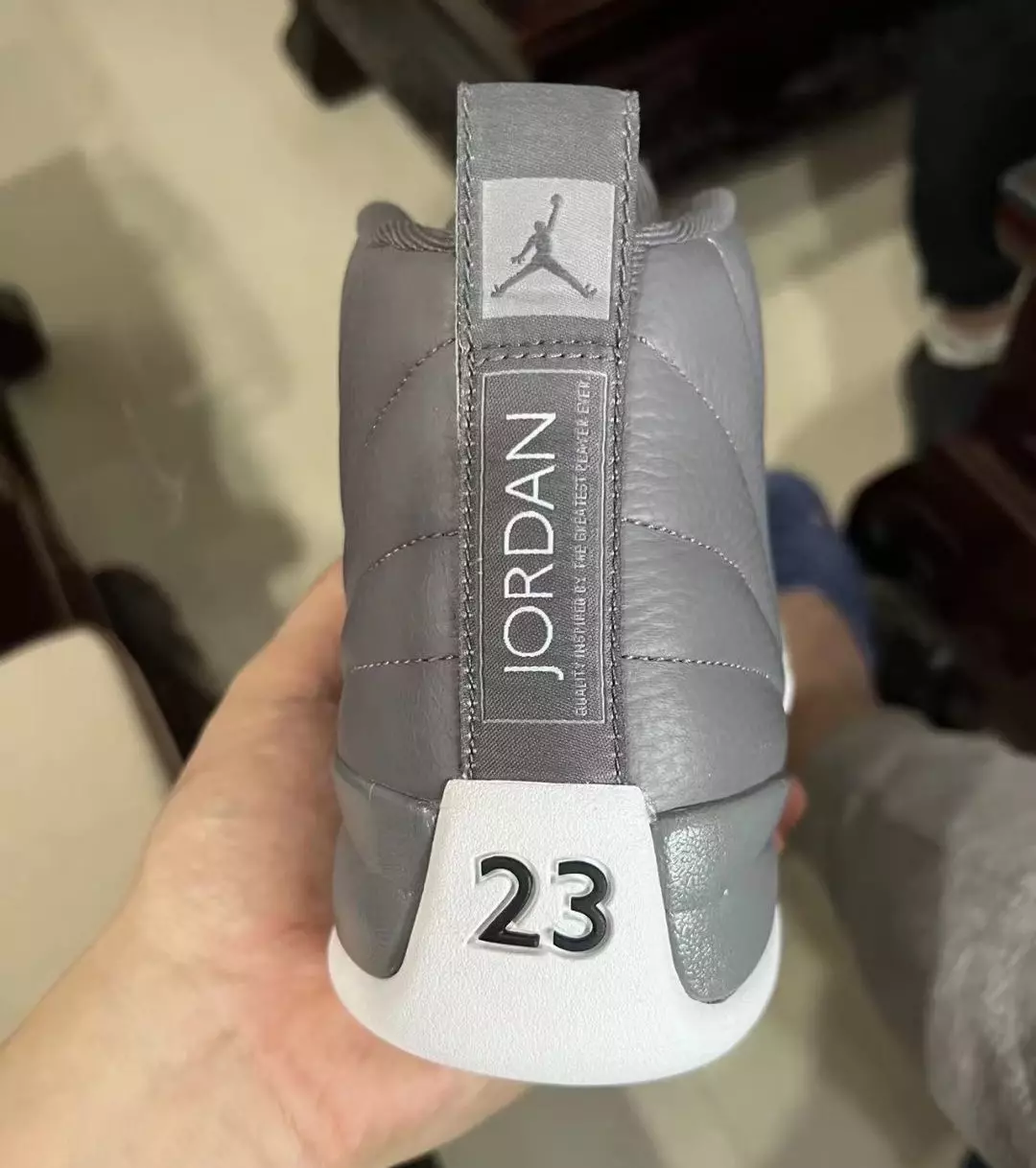 Air Jordan 12 Stealth CT8013-015 Tarikh Tayangan