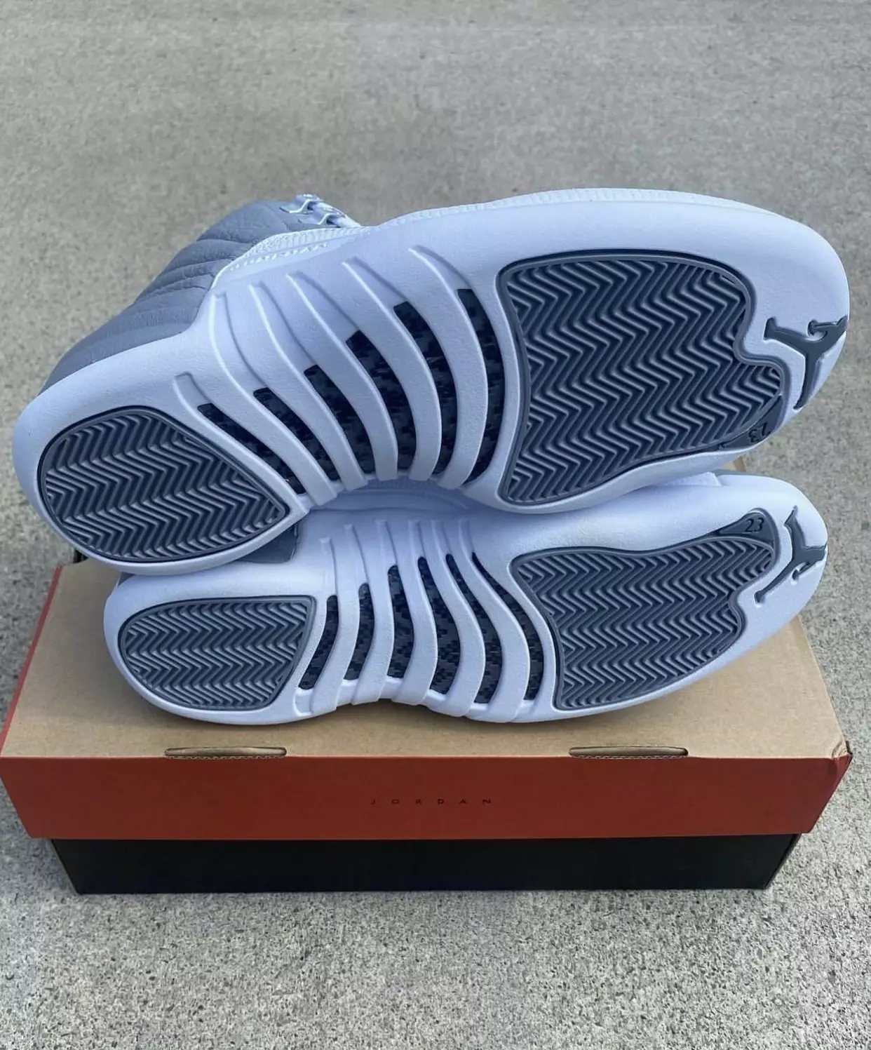 Ngày phát hành Air Jordan 12 Stealth CT8013-015 trong tay