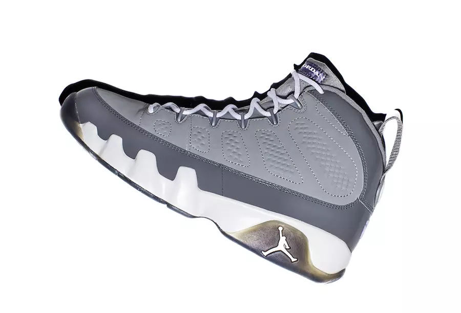 Air Jordan 9 Guay Gris