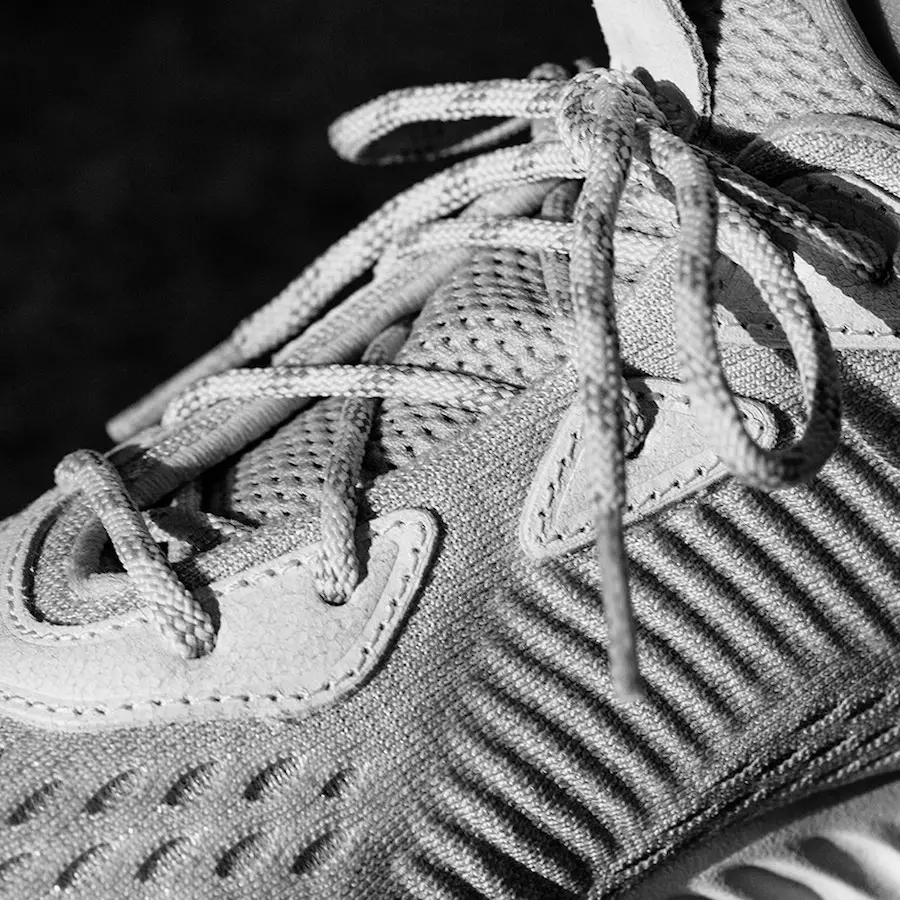 Regerend kampioen adidas AlphaBounce