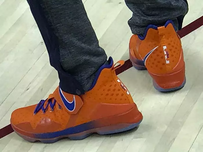 Nike LeBron 14 Hardwood Classics Corpoideachas