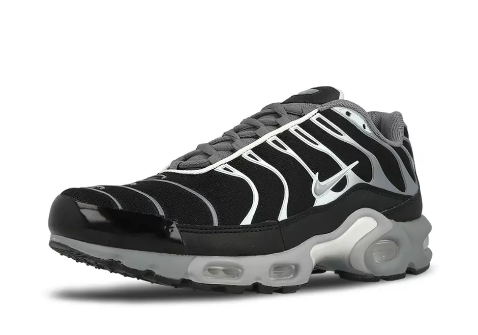 Nike Air Max Plus Noir Gris 852630-010