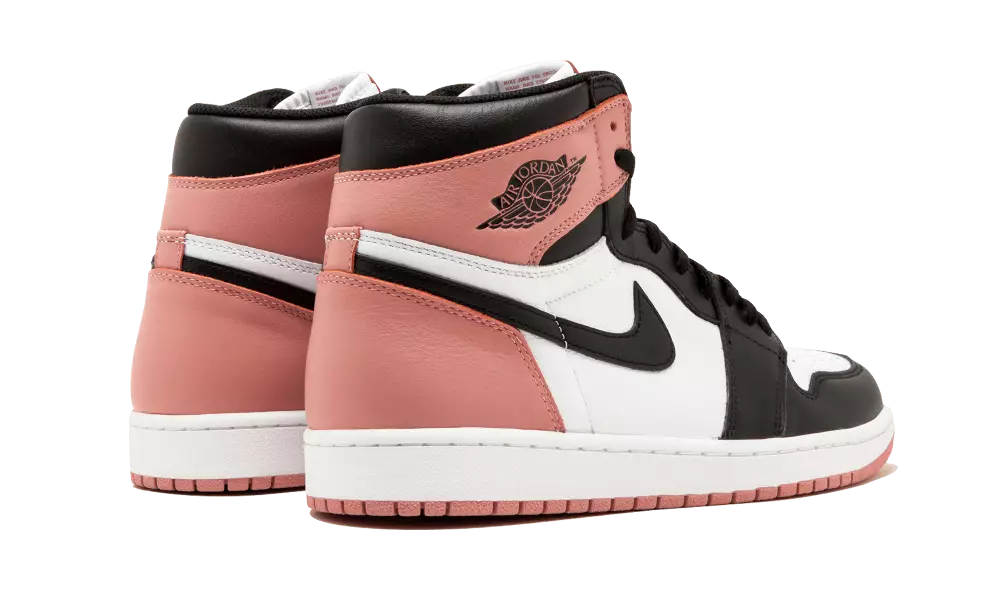 Air Jordan 1 Art Basel Rostrosa