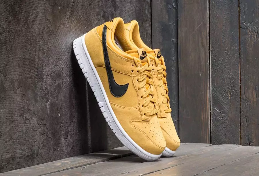 Nike Dunk Düşük Terra Turuncu 904234-800