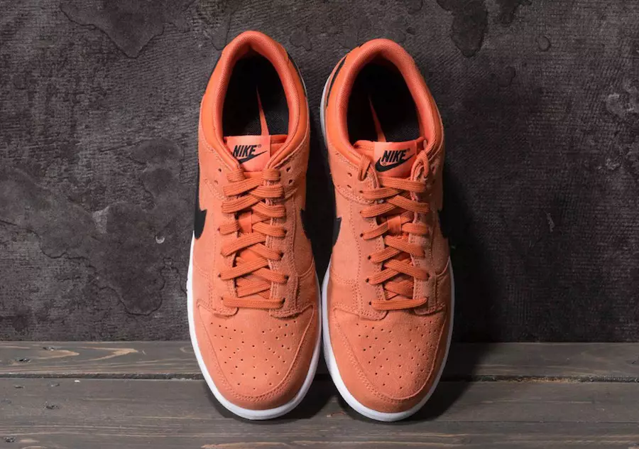 Nike Dunk Low Terra Orange 904234-800