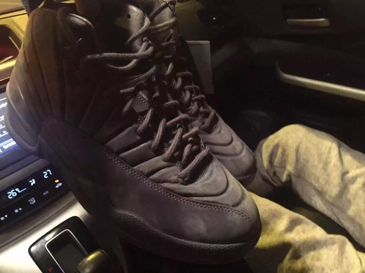 Public School Air Jordan 12 PSNY