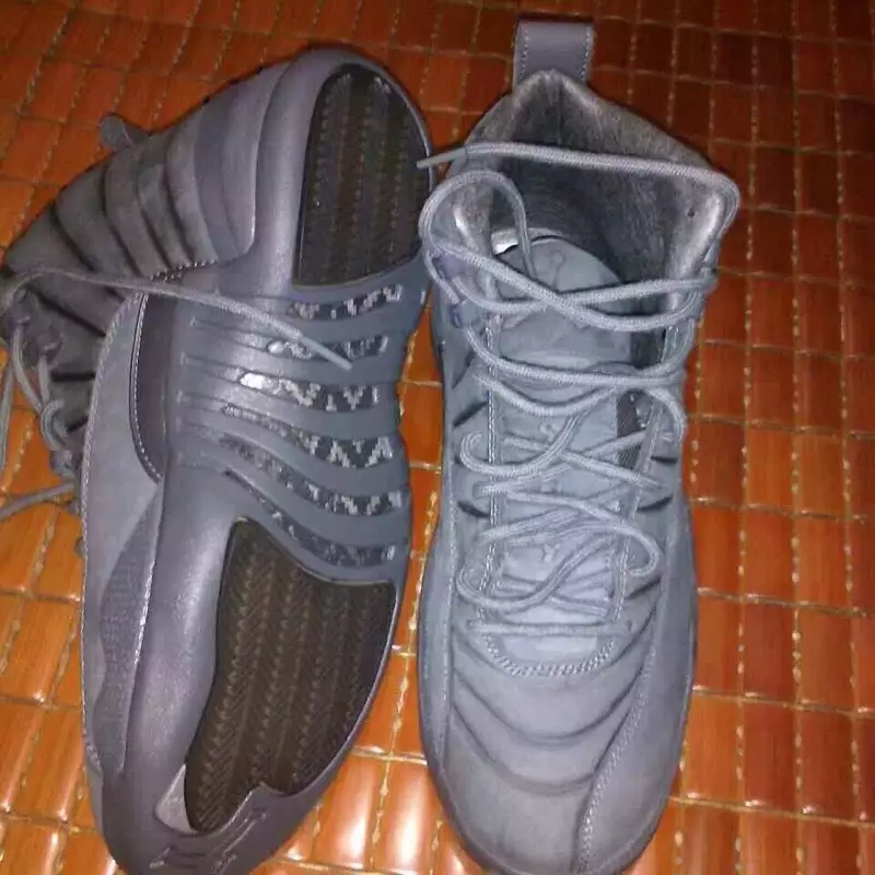 Public School Air Jordan 12 PSNY