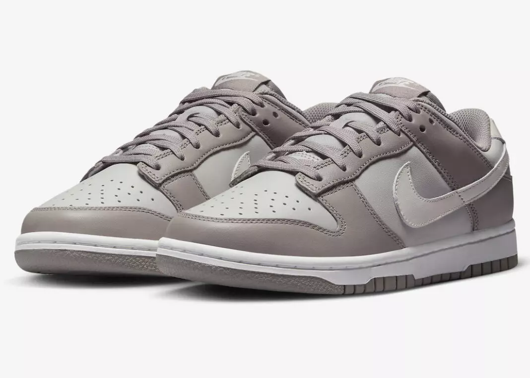 Nike Dunk Low FD0792-001 מעלדונג טאָג