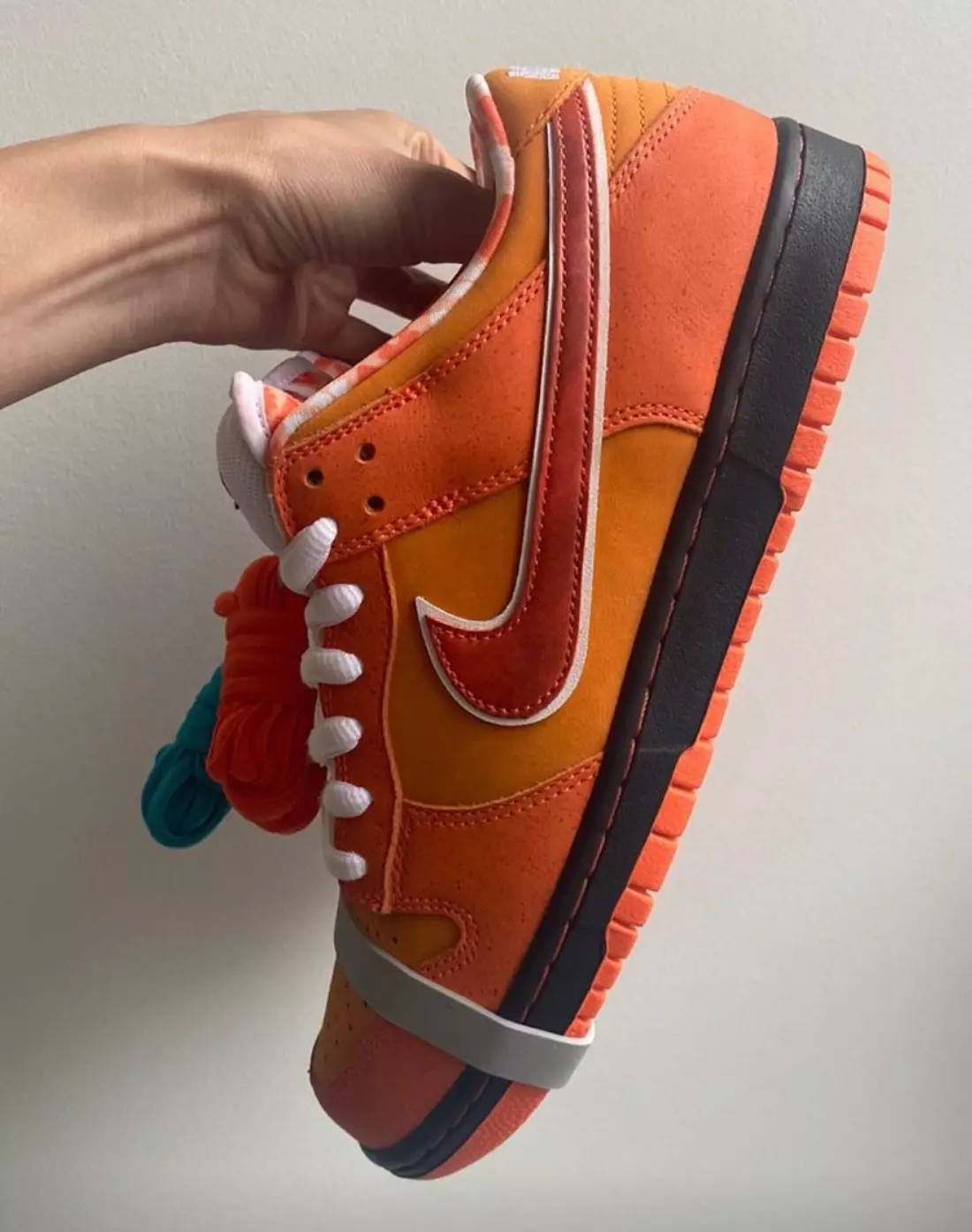 Conceptes Nike SB Dunk Low Orange Lobster FD8776-800 Data de llançament